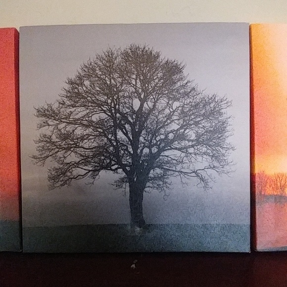 Wall Decor - Picture 4 of 6